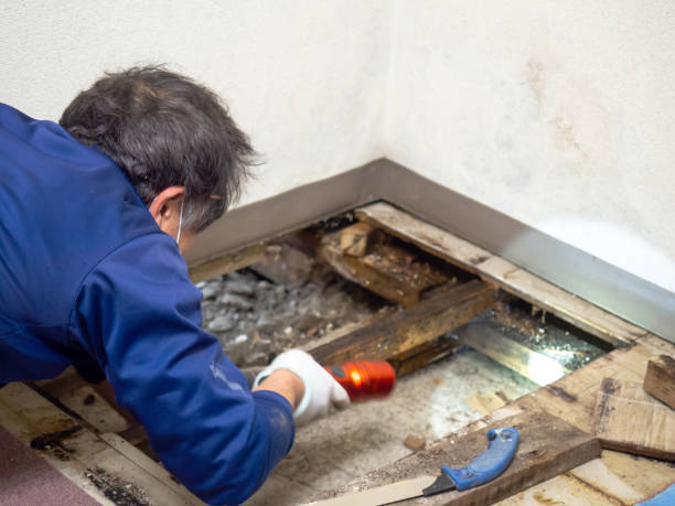 Best Water Damage Restoration  in Glens Falls, NY