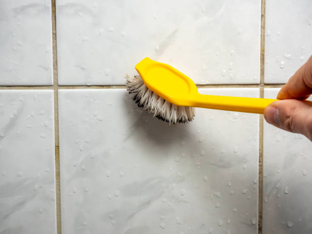 Best Toxic Mold Removal  in Glens Falls, NY
