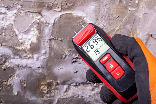 Best Crawl Space Mold Removal  in Glens Falls, NY