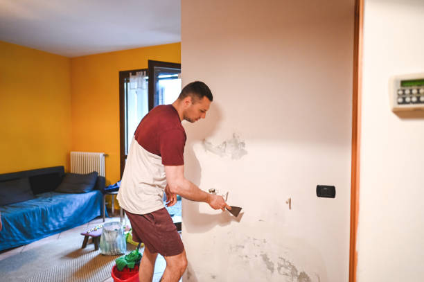 Best Mold Remediation Services  in Glens Falls, NY